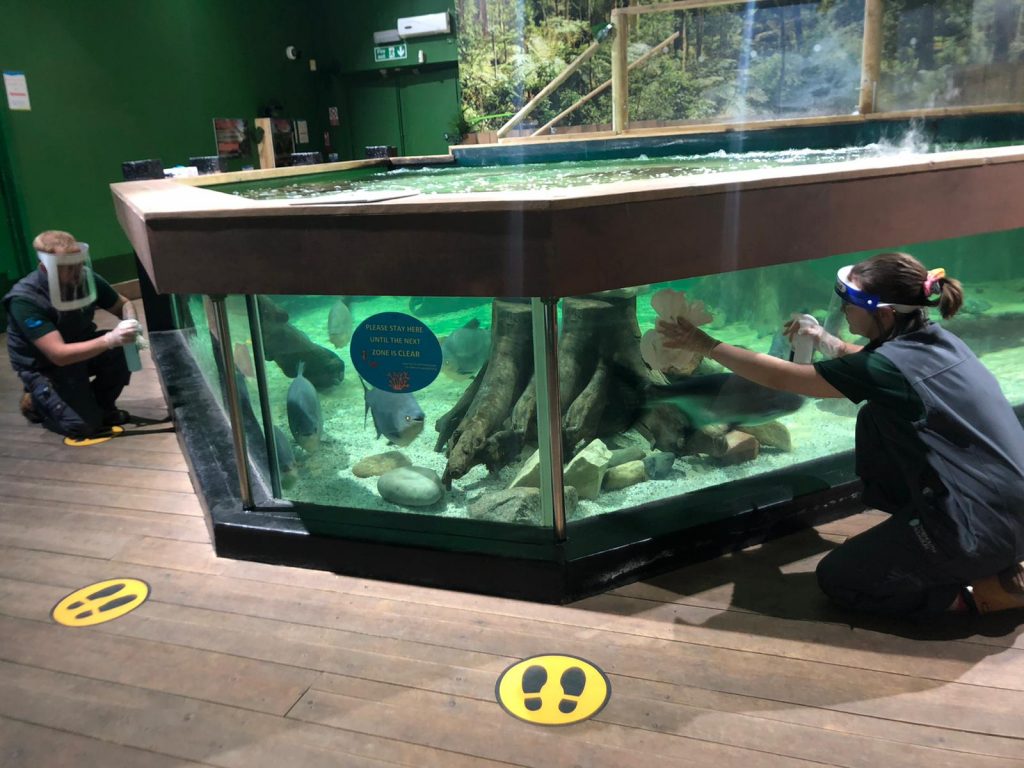 What Do Fish See? - Tynemouth Aquarium