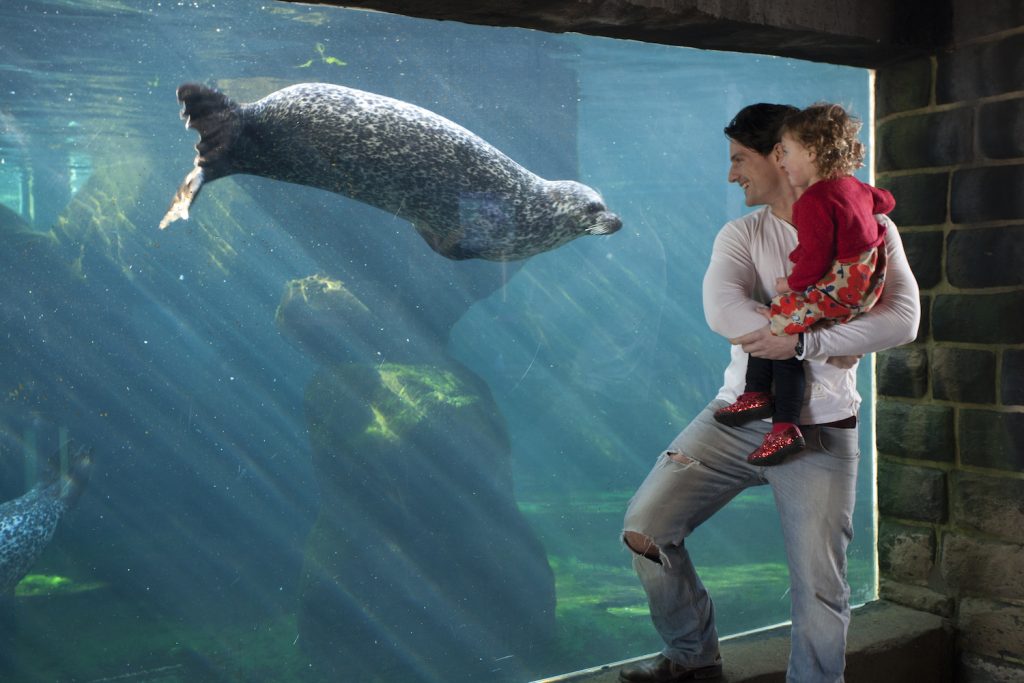 seal hospital