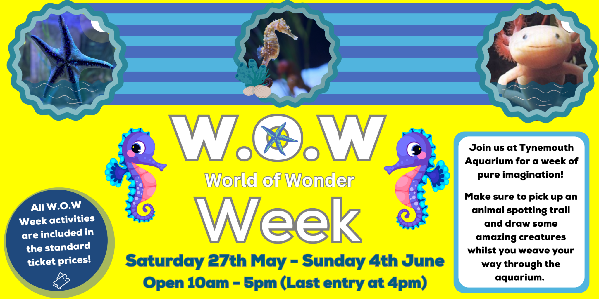 W.O.W Week at Tynemouth Aquarium! Tynemouth Aquarium