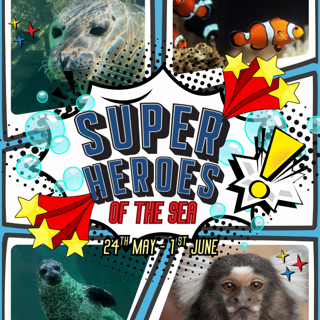 superheroes of the sea 24th May to the 1st June Tynemouth Aquarium